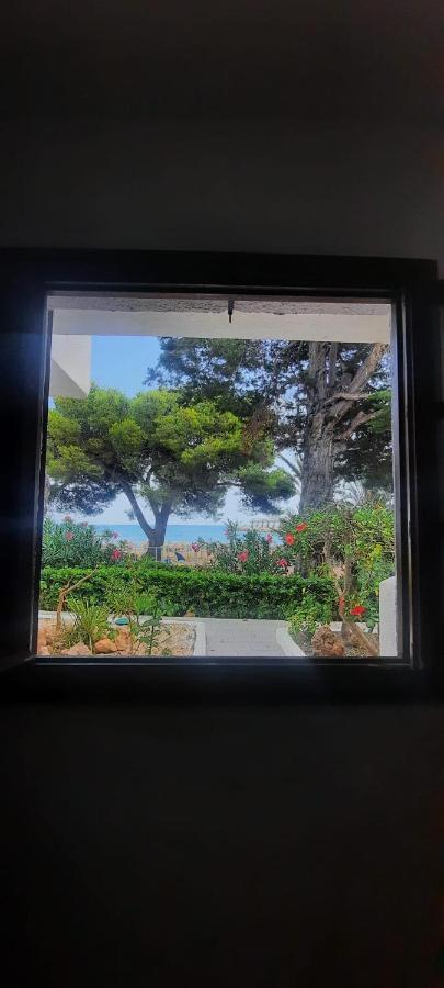 Apartamento Frente Al Mar Alcossebre Exteriör bild