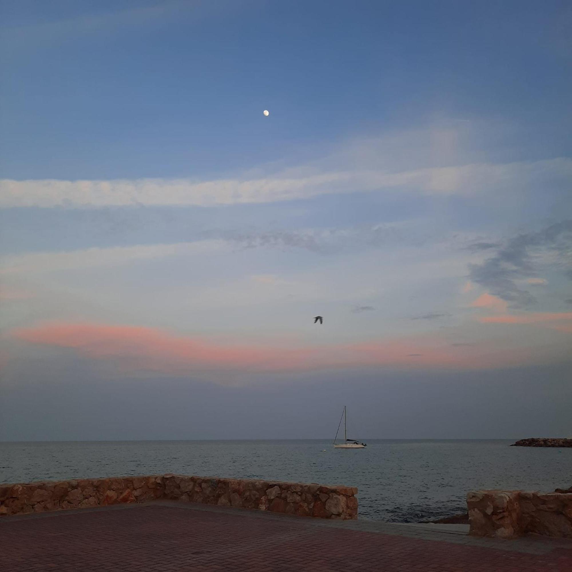 Apartamento Frente Al Mar Alcossebre Exteriör bild